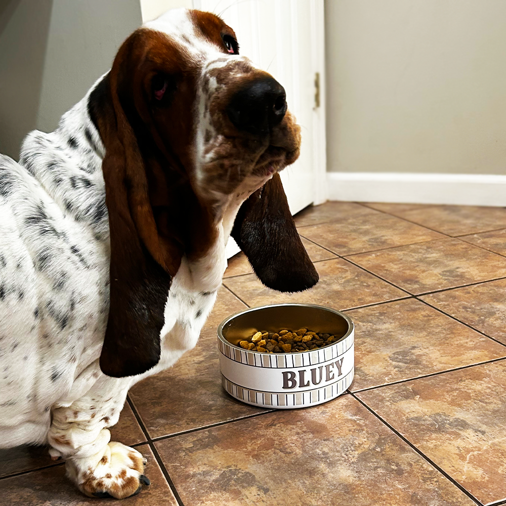 Small Pet Bowl - 32oz.