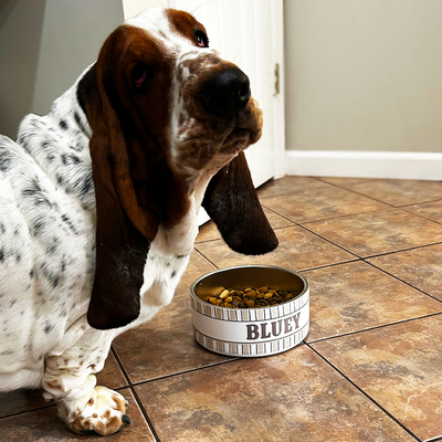 Small Pet Bowl - 32oz.