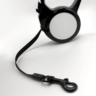 Retractable Pet Leash - 10'