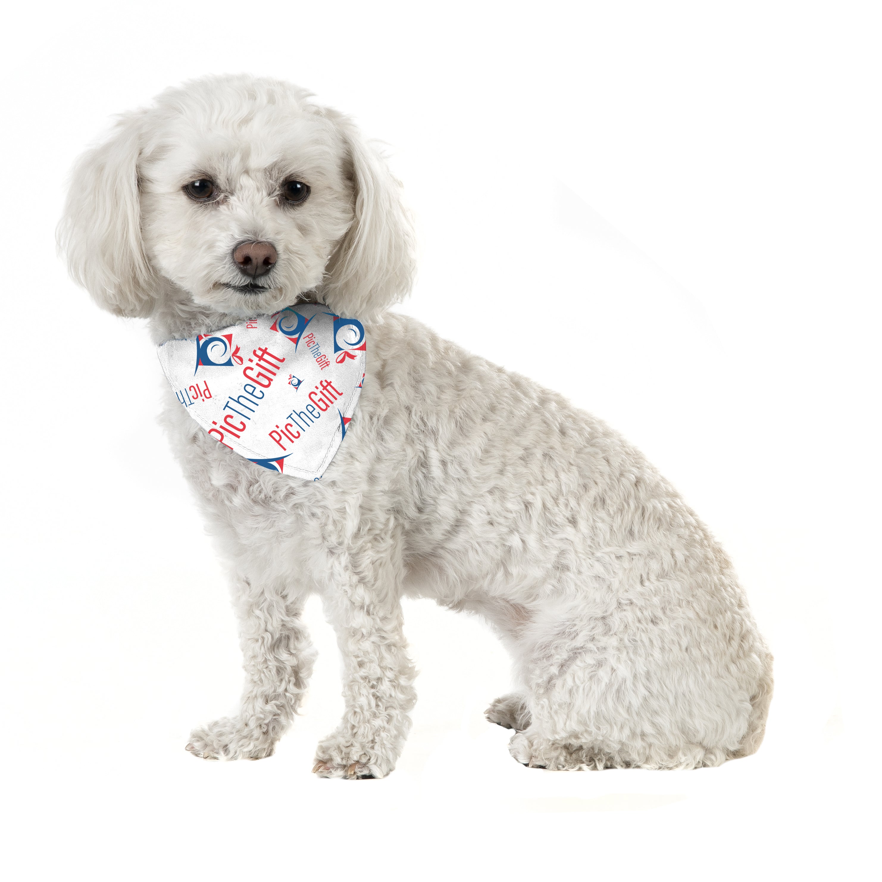 Small Pet Bandana