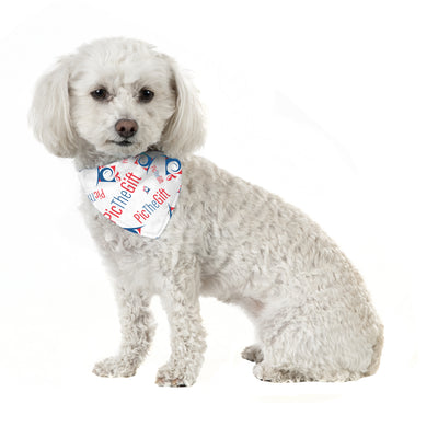 Small Pet Bandana